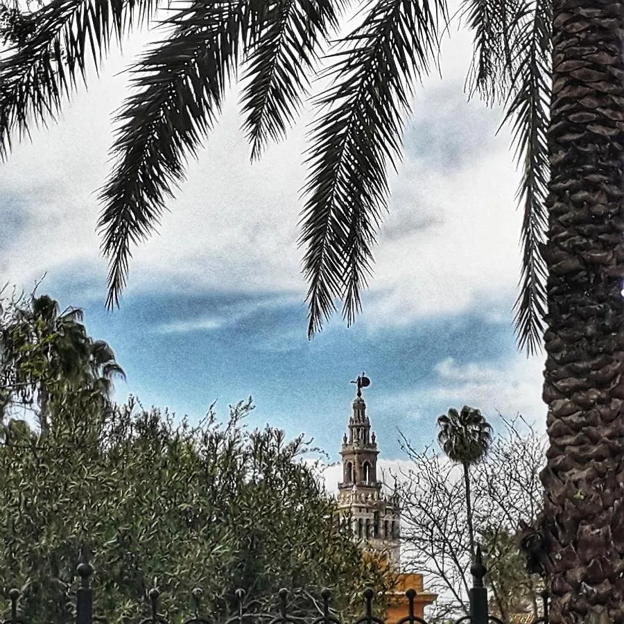 Descubrehome Plaza De Las Moravias Sevilla Lägenhet